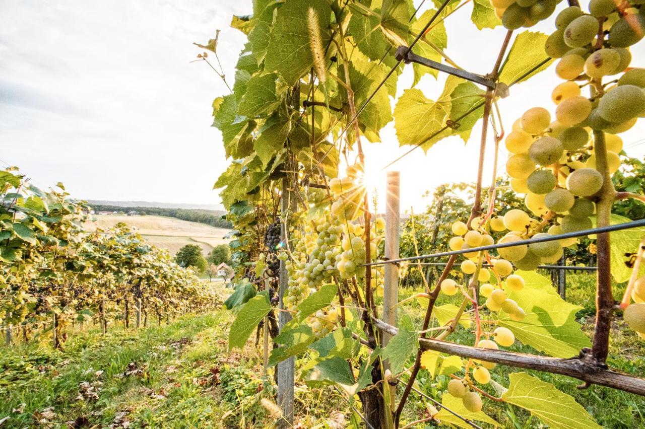 Wiener Kellerstoeckl - Das 13Er Eltendorf Esterno foto
