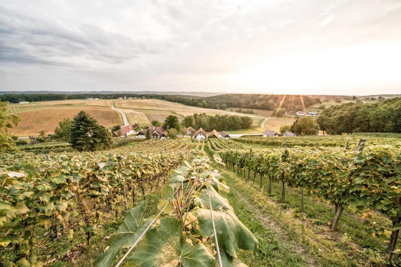 Wiener Kellerstoeckl - Das 13Er Eltendorf Esterno foto